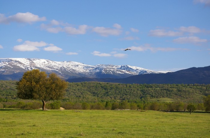 SIERRA DE BÉJAR Constituye esta alineación montañosa la más elevada de toda la provincia. Las características del histórico poblamiento de estos parajes muestran una clara adaptación medioambiental junto a trazas arquitectónicas de indiscutible tipismo y valía. Visitaremos Béjar y Candelario.